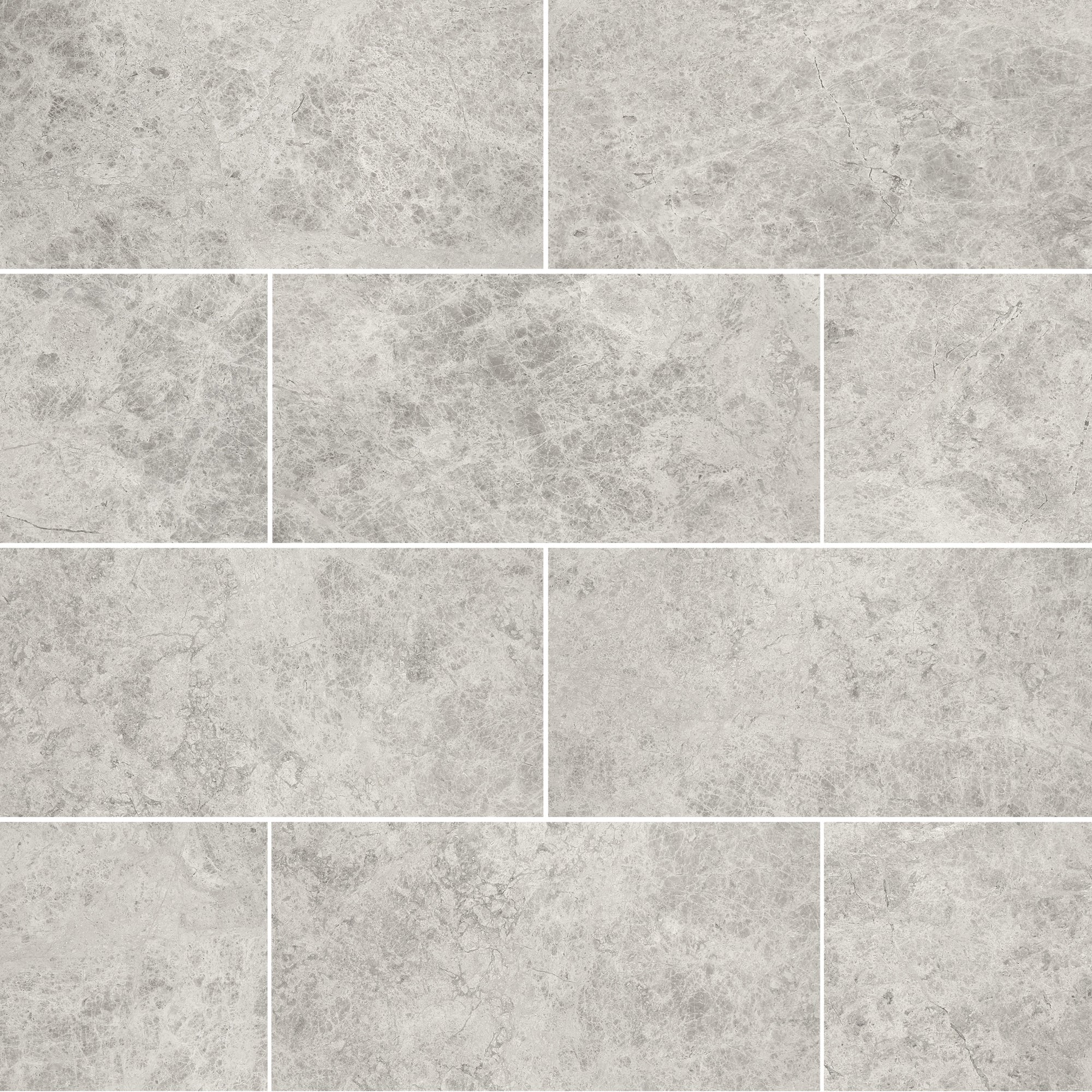 DW Tile & Stone - Silver Shadow 12" x 24" Marble Tile - Polished