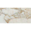 See Floors 2000 - Classica 12 in. x 24 in. Matte Porcelain Tile - Calacatta Gold
