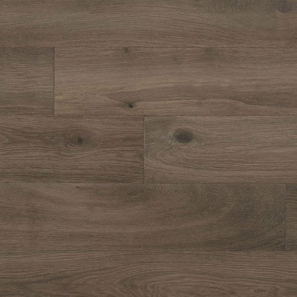 The Forest Modern: Our Aged French Oak Hardwood Floors - The House of  Silver Lining