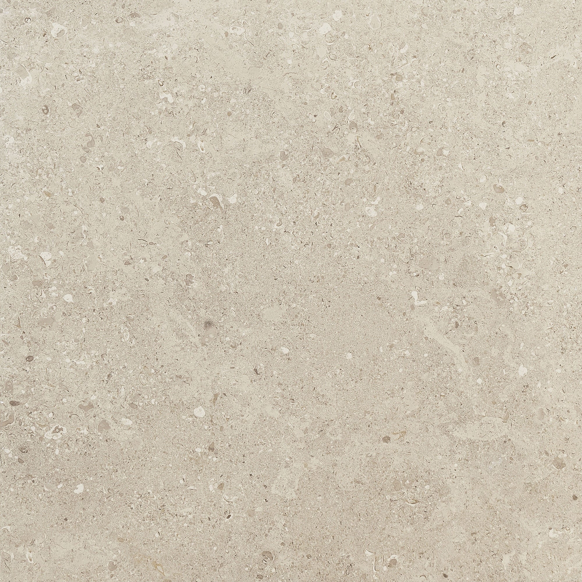 Daltile - Dignitary 24 in. x 24 in. Textured Porcelain Paver - Notable Beige