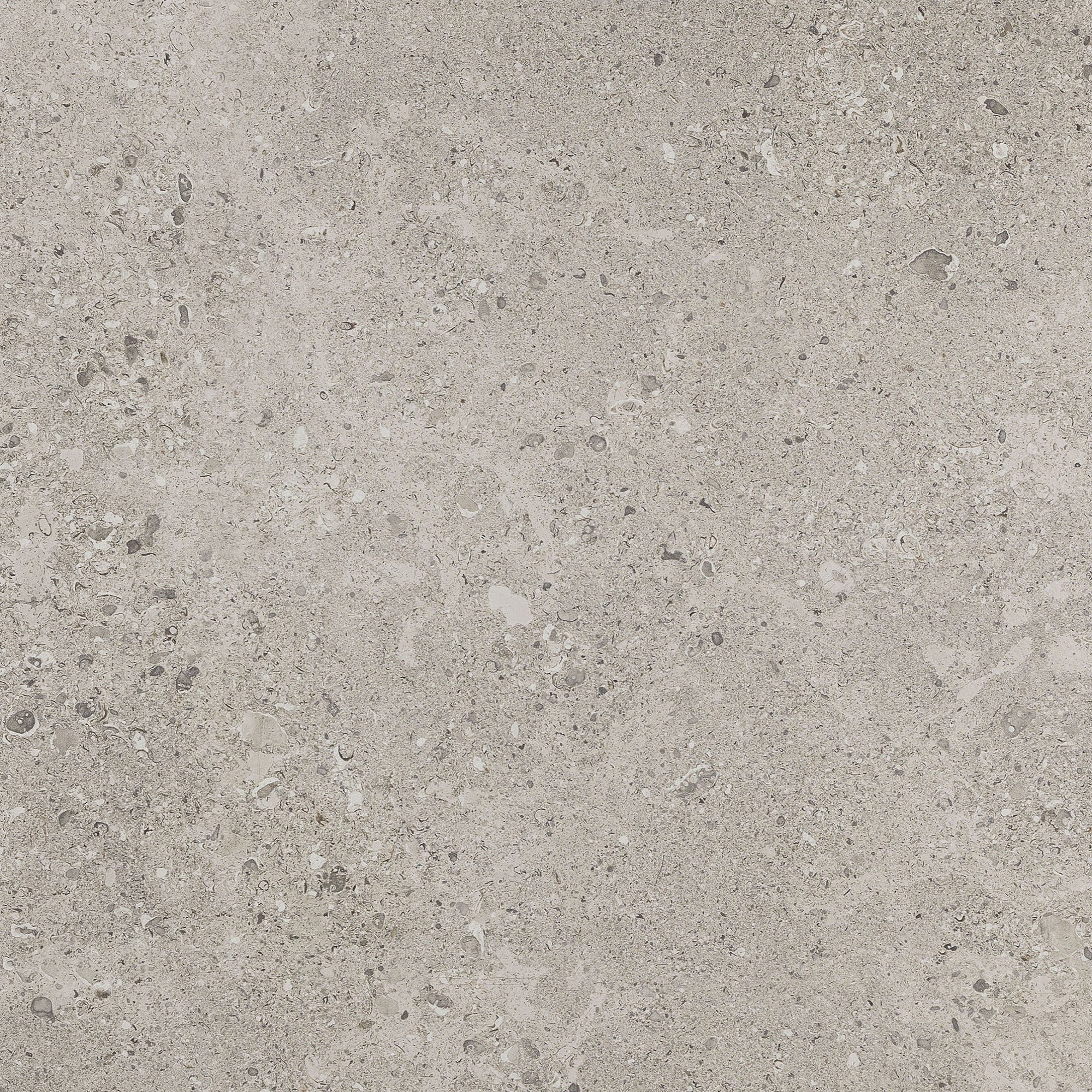 Daltile - Dignitary 24 in. x 24 in. Textured Porcelain Paver - Superior Taupe