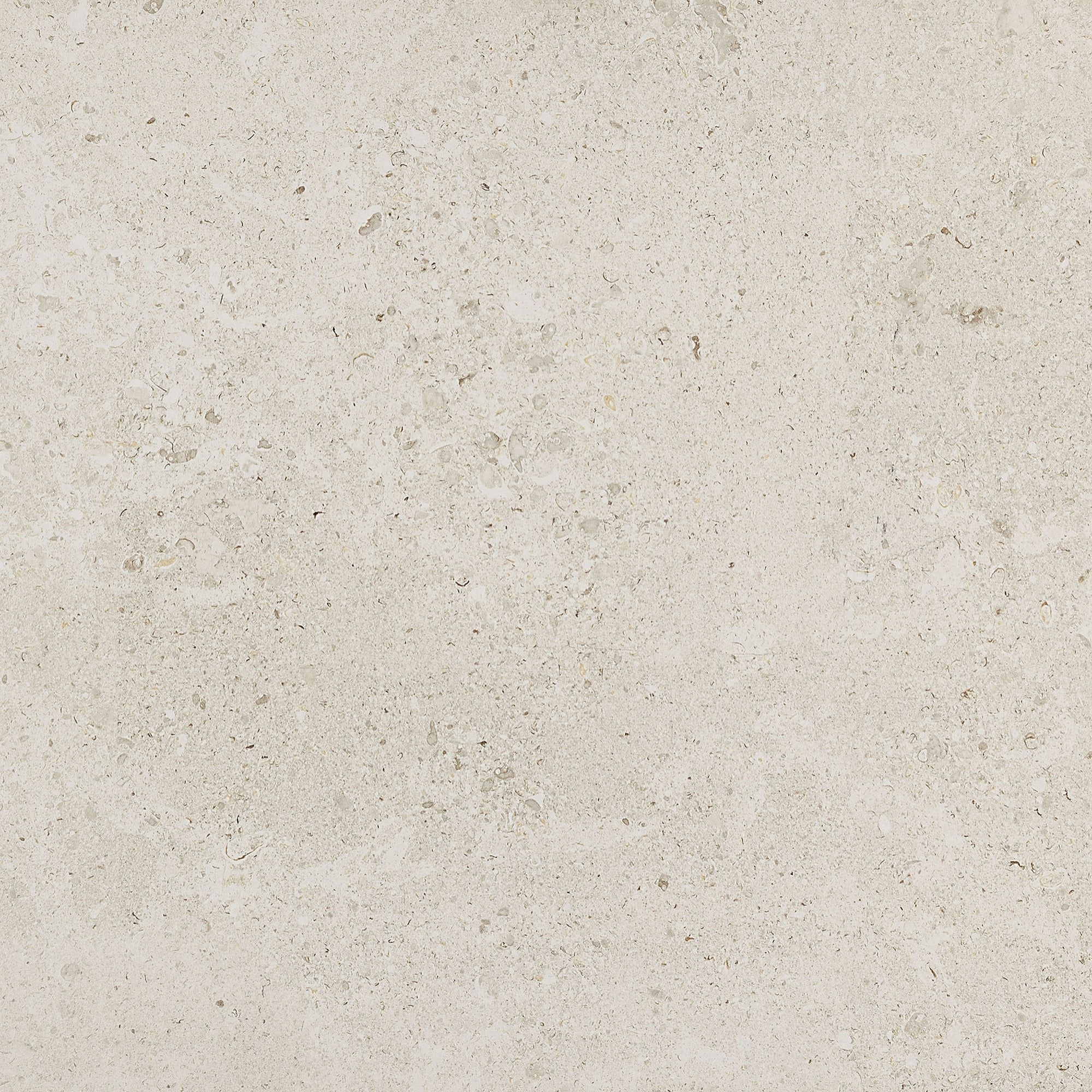 Daltile - Dignitary 24 in. x 24 in. Textured Porcelain Paver - Luminary White