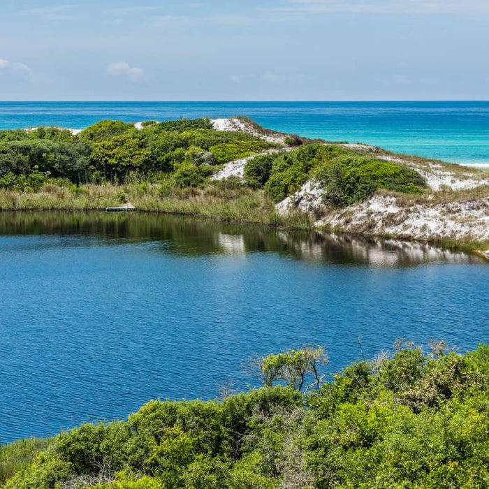 Employee Highlight: Channing Gordon