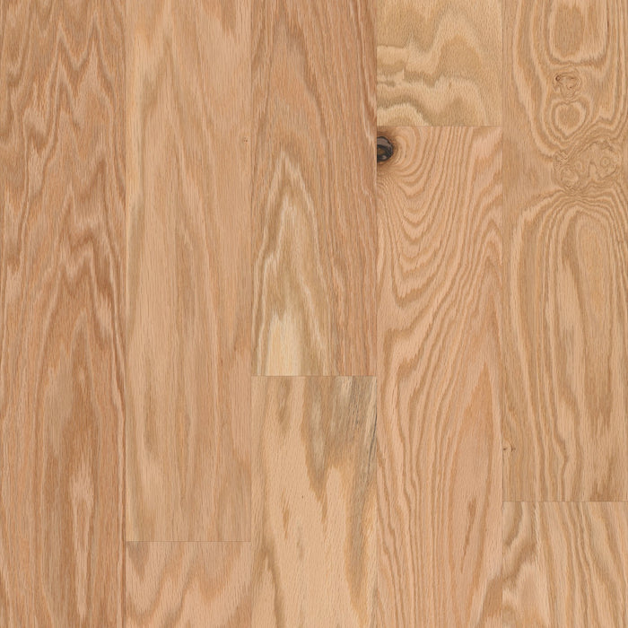 Shaw - Albright Oak 5" Hardwood SW582 - Rustic Natural