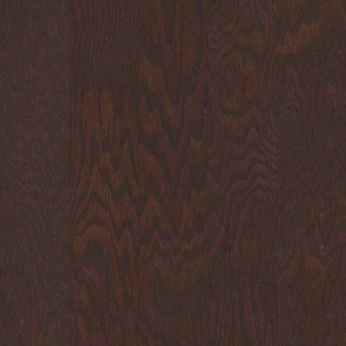 Shaw - Albright Oak 5" Hardwood SW582 - Coffee Bean