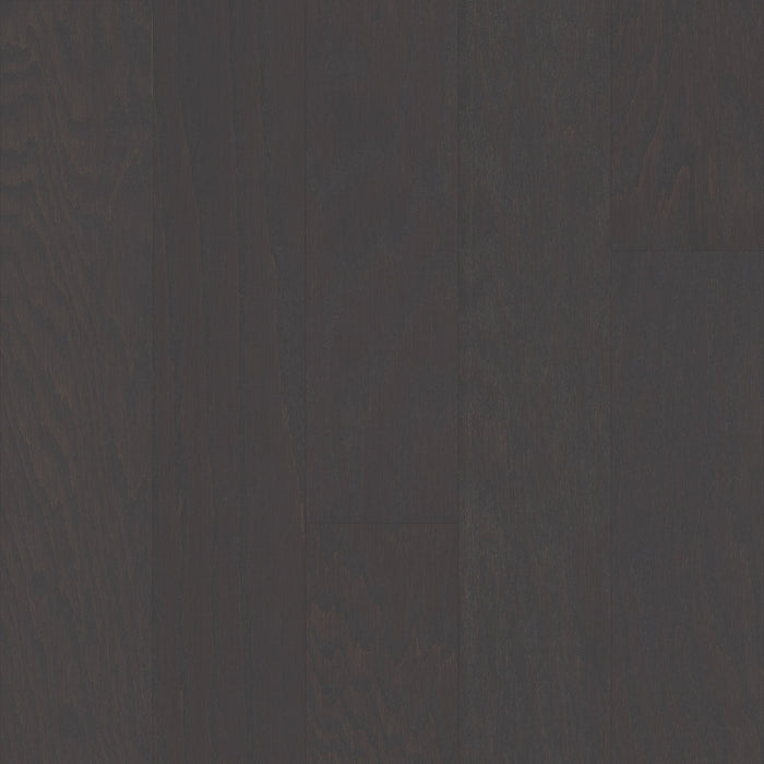 Shaw - Albright Oak 5" Hardwood SW582 - Charcoal