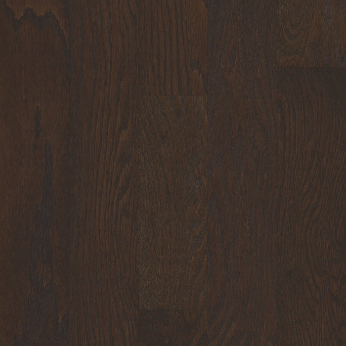 Shaw - Albright Oak 5" Hardwood SW582 - Chocolate