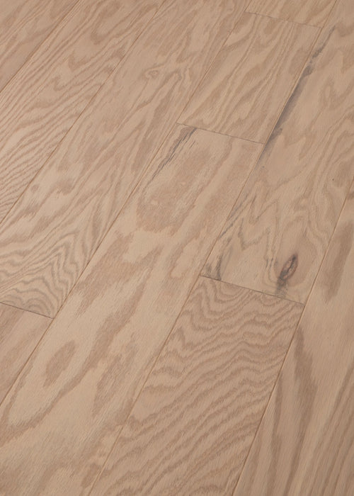 Shaw - Albright Oak 5" Hardwood SW582 - Biscuit LG Angled