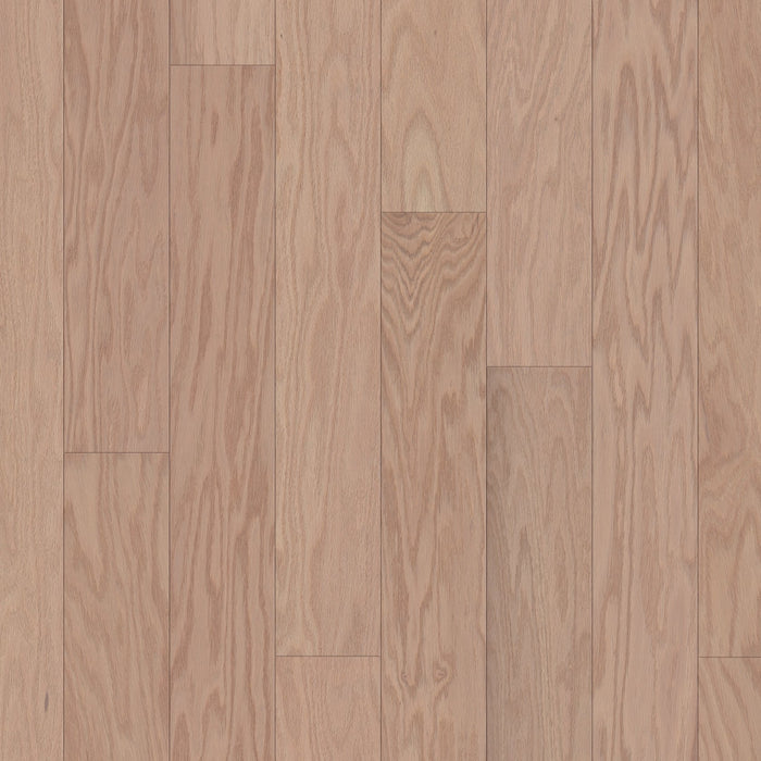 Shaw - Albright Oak 5" Hardwood SW582 - Biscuit LG