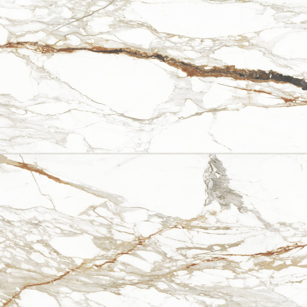 Bedrosians - Prati 24&quot; x 48&quot; Polished Porcelain Field Tile - Calacatta Macchia Vecchia