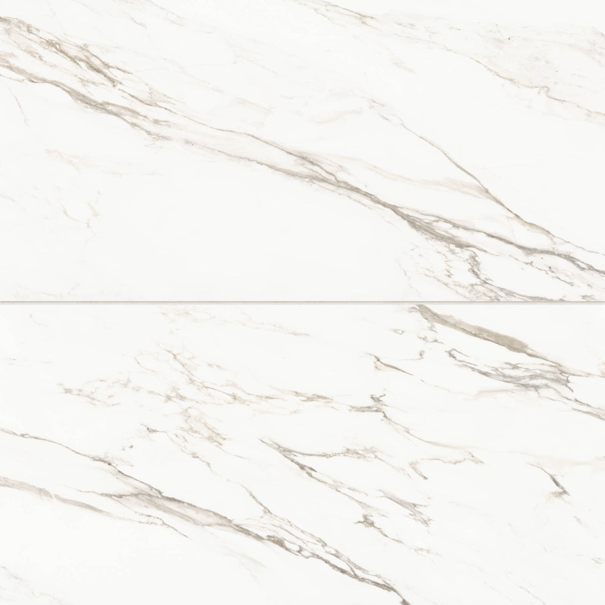 Bedrosians - Prati 24&quot; x 48&quot; Honed Porcelain Field Tile - Calacatta Borghini Warm