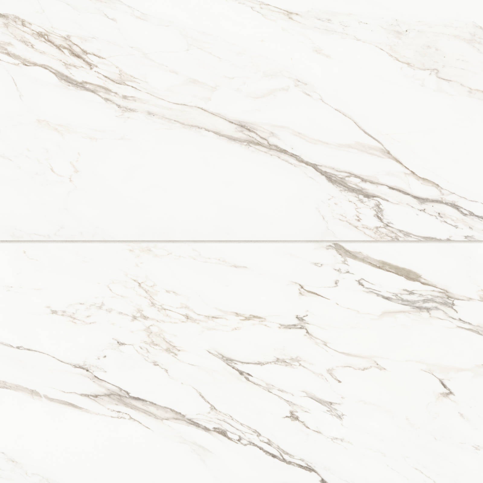 Bedrosians - Prati 24" x 48" Honed Porcelain Field Tile - Calacatta Borghini Warm