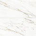 Bedrosians - Prati 24" x 48" Honed Porcelain Field Tile - Calacatta Borghini Warm
