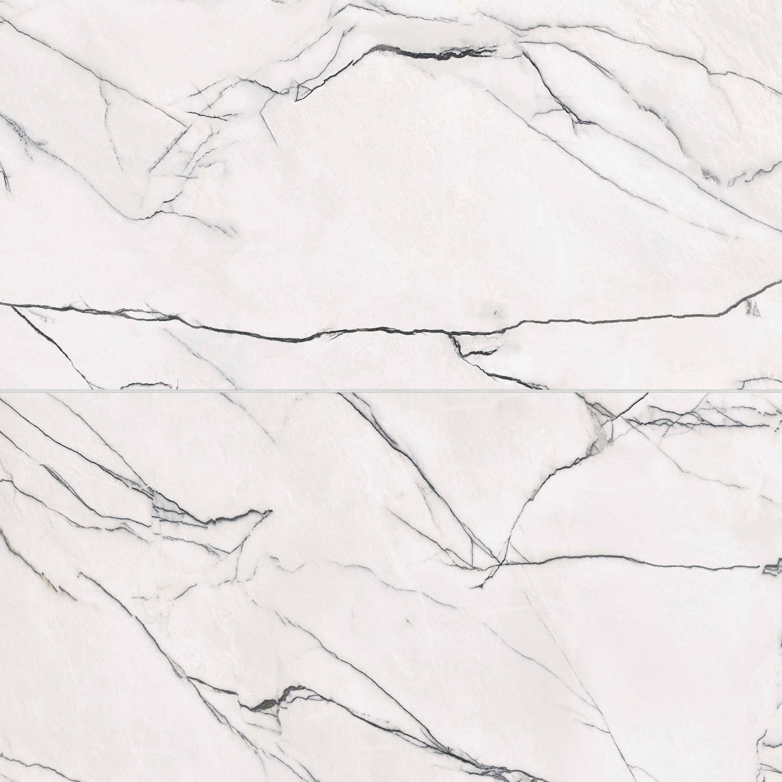 Bedrosians - Gemma 24" x 48" Honed Porcelain Field Tile - Bianca