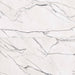Bedrosians - Gemma 24" x 48" Honed Porcelain Field Tile - Bianca