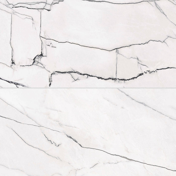 Bedrosians - Gemma 24" x 48" Polished Porcelain Field Tile - Bianca