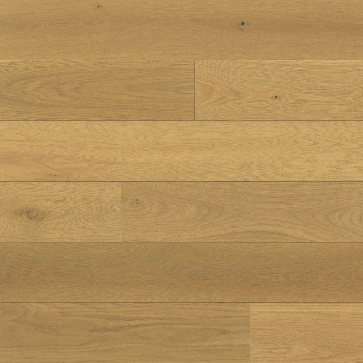 Bedrosians - Newport - 7.5 in. x 75 in. Engineered Hardwood - Sand