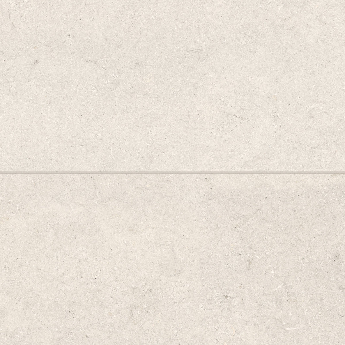 Bedrosians - Poetry Stone 24&quot; x 48&quot; Matte Porcelain Field Tile - Ivory