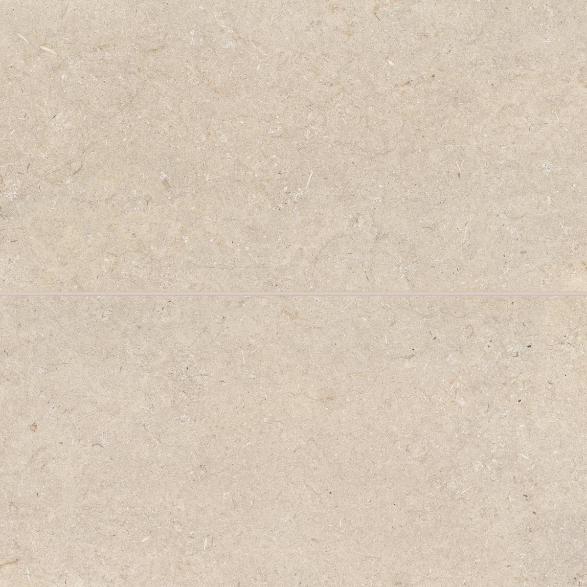 Bedrosians - Poetry Stone 24&quot; x 48&quot; Matte Porcelain Field Tile - Beige