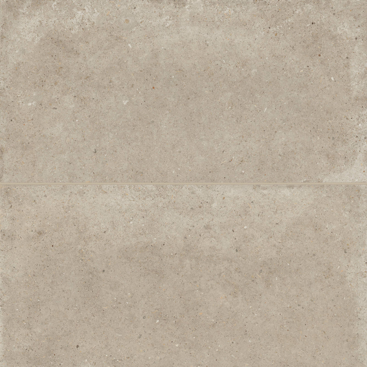 Bedrosians - Poetry Stone 24&quot; x 48&quot; Matte Porcelain Field Tile - Ecru