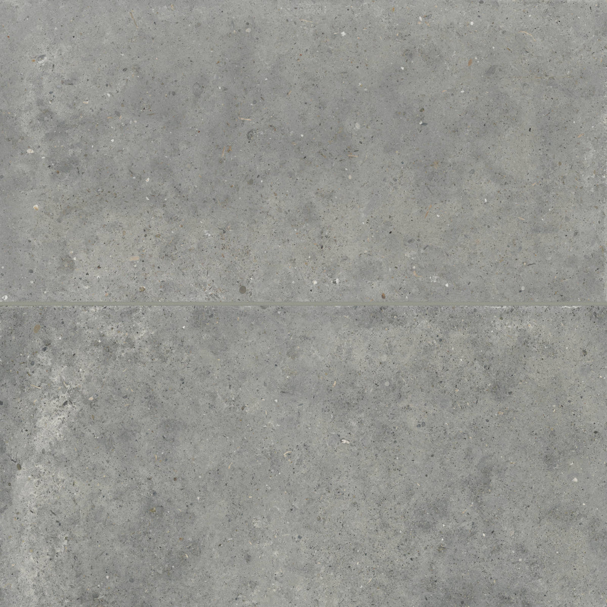 Bedrosians - Poetry Stone 24&quot; x 48&quot; Matte Porcelain Field Tile - Grey