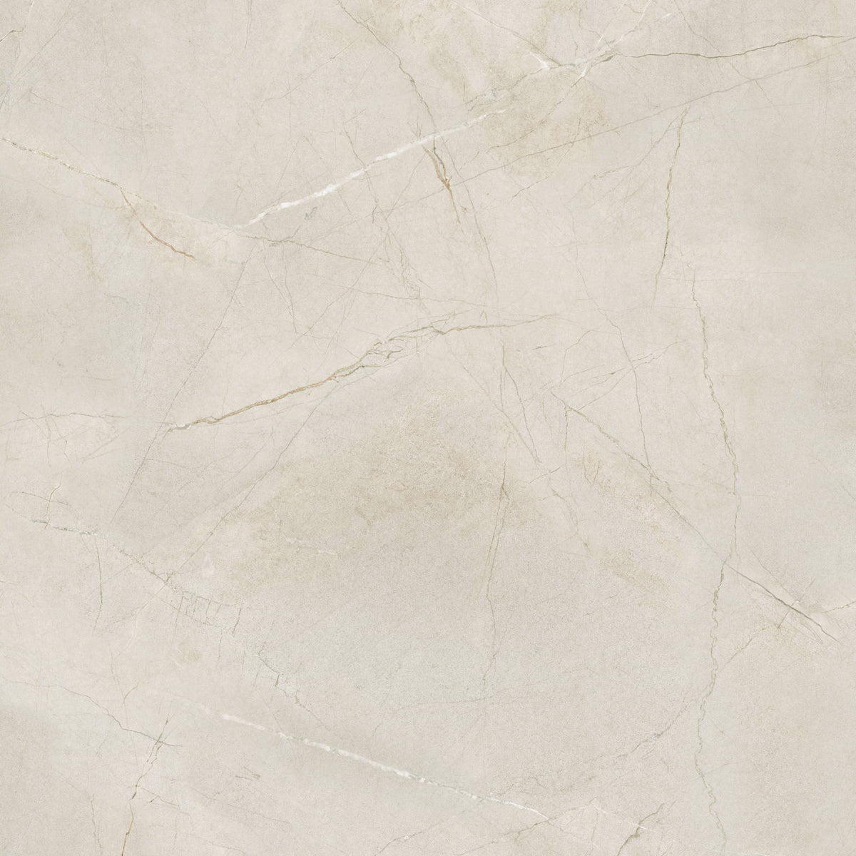 Bedrosians - Crema Marfil 48&quot; x 48&quot; Satin Porcelain Field Tile