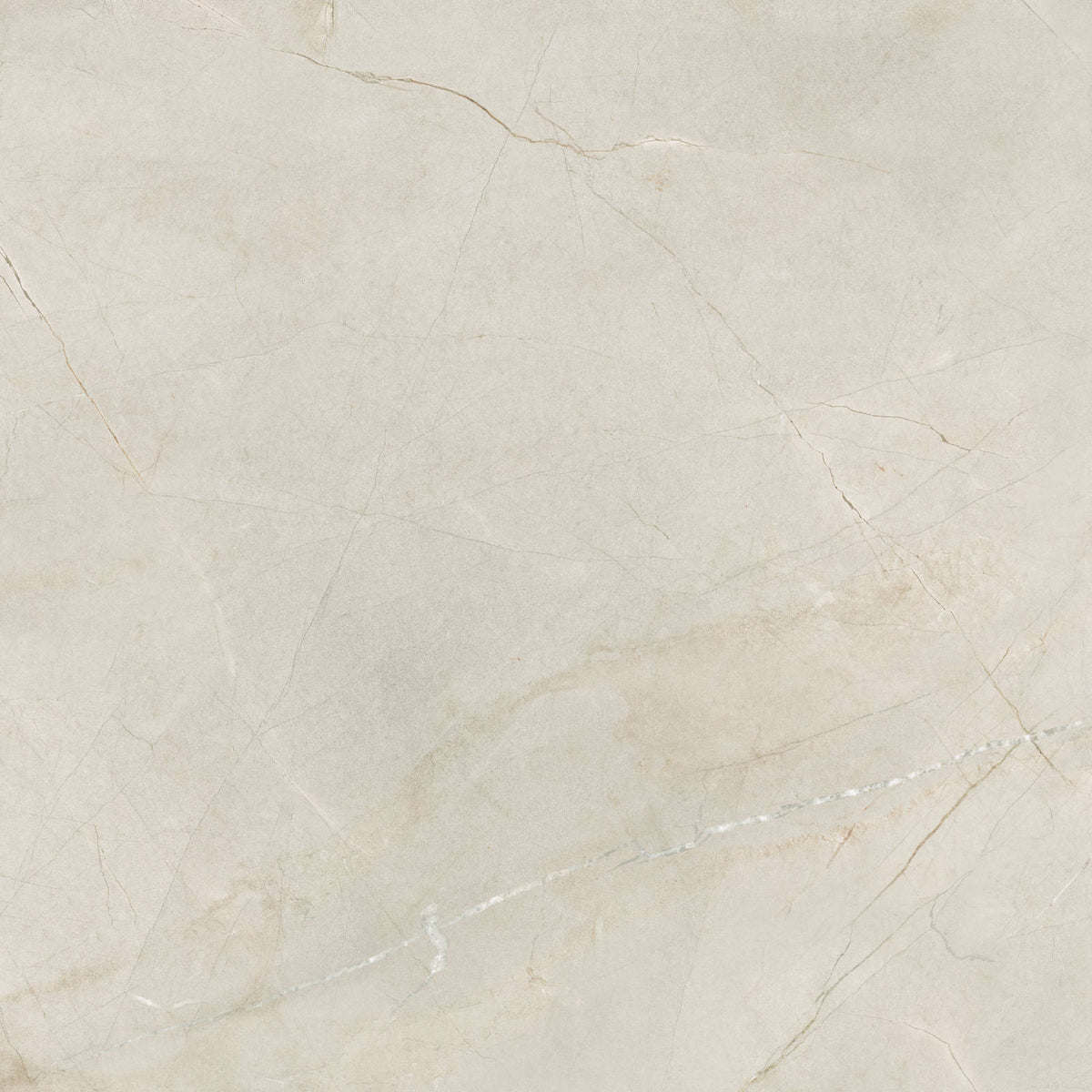 Bedrosians - Crema Marfil 48&quot; x 48&quot; Polished Porcelain Field Tile