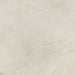 Bedrosians - Crema Marfil 48" x 48" Polished Porcelain Field Tile