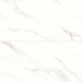 Bedrosians - Shandar 24" x 48" Matte Porcelain Field Tile - Statuario