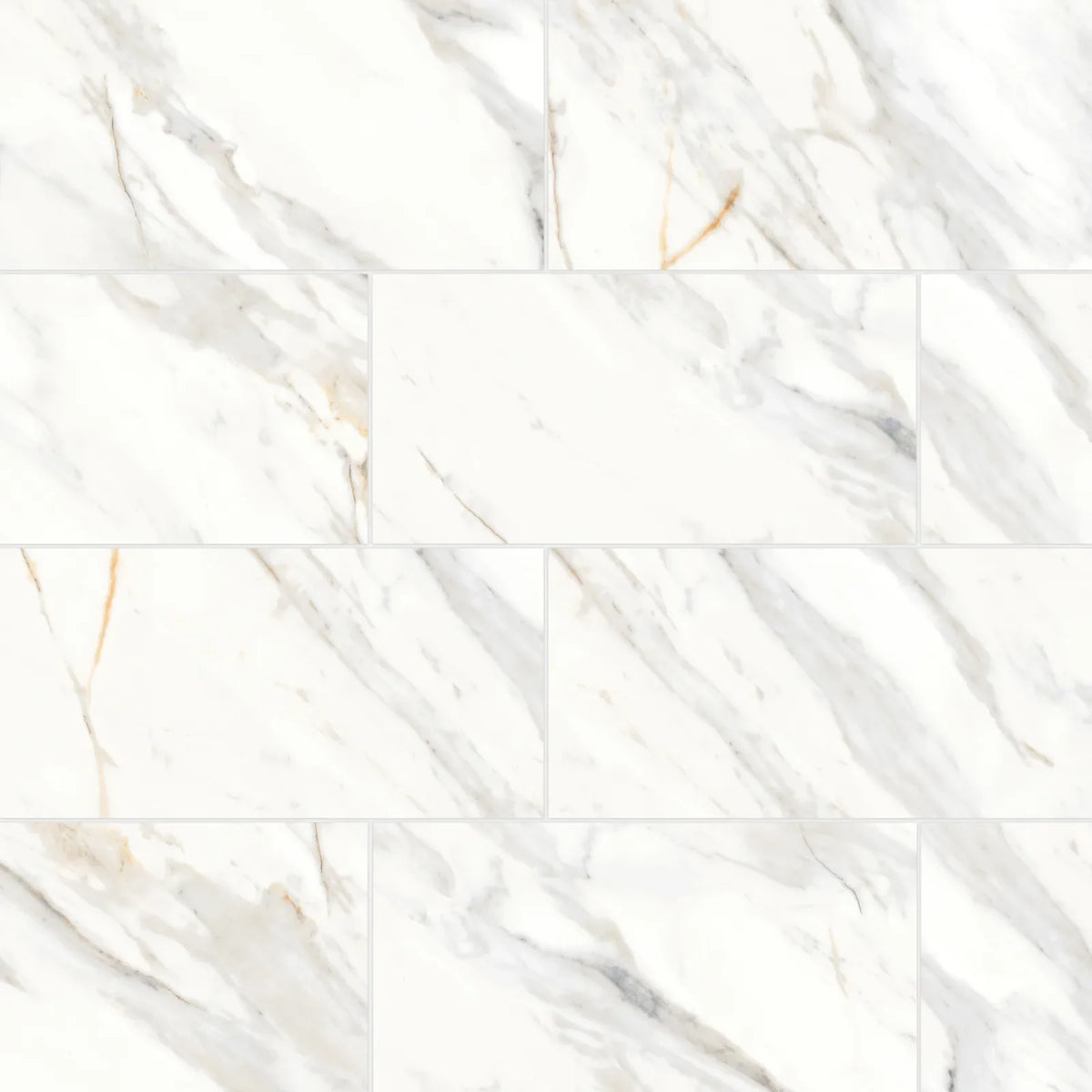 Bedrosians - Shandar 12&quot; x 24&quot; Matte Porcelain Field Tile - Arezzo Bianco