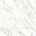 Bedrosians - Shandar 12" x 24" Matte Porcelain Field Tile - Arezzo Bianco