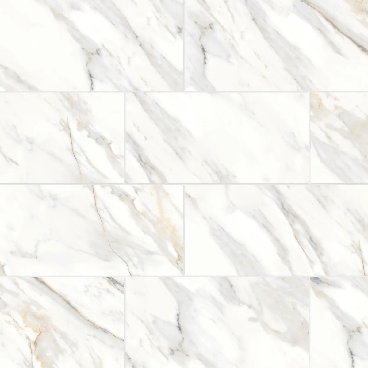 Bedrosians - Shandar 12&quot; x 24&quot; Polished Porcelain Field Tile - Arezzo Bianco