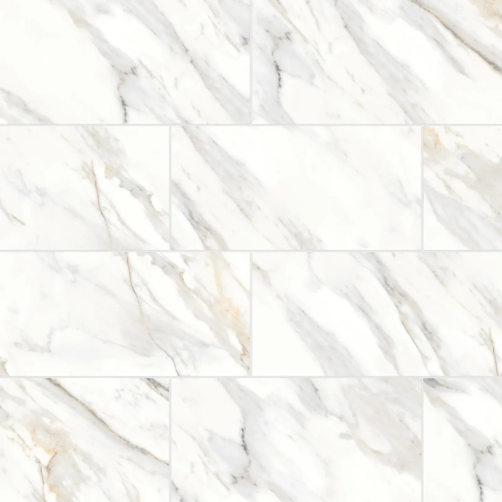 Bedrosians - Shandar 12" x 24" Polished Porcelain Field Tile - Arezzo Bianco