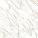 Bedrosians - Shandar 12" x 24" Polished Porcelain Field Tile - Arezzo Bianco