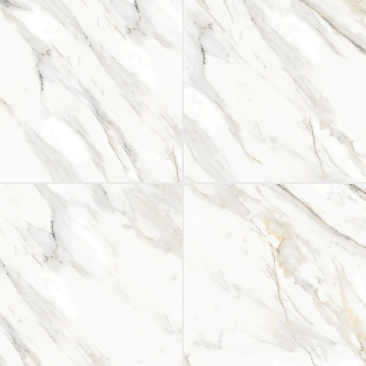 Bedrosians - Shandar 24&quot; x 24&quot; Polished Porcelain Field Tile - Arezzo Bianco