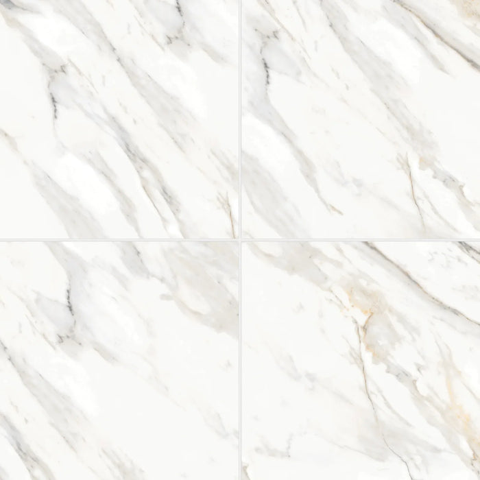 Bedrosians - Shandar 24" x 24" Polished Porcelain Field Tile - Arezzo Bianco