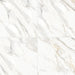 Bedrosians - Shandar 24" x 24" Polished Porcelain Field Tile - Arezzo Bianco