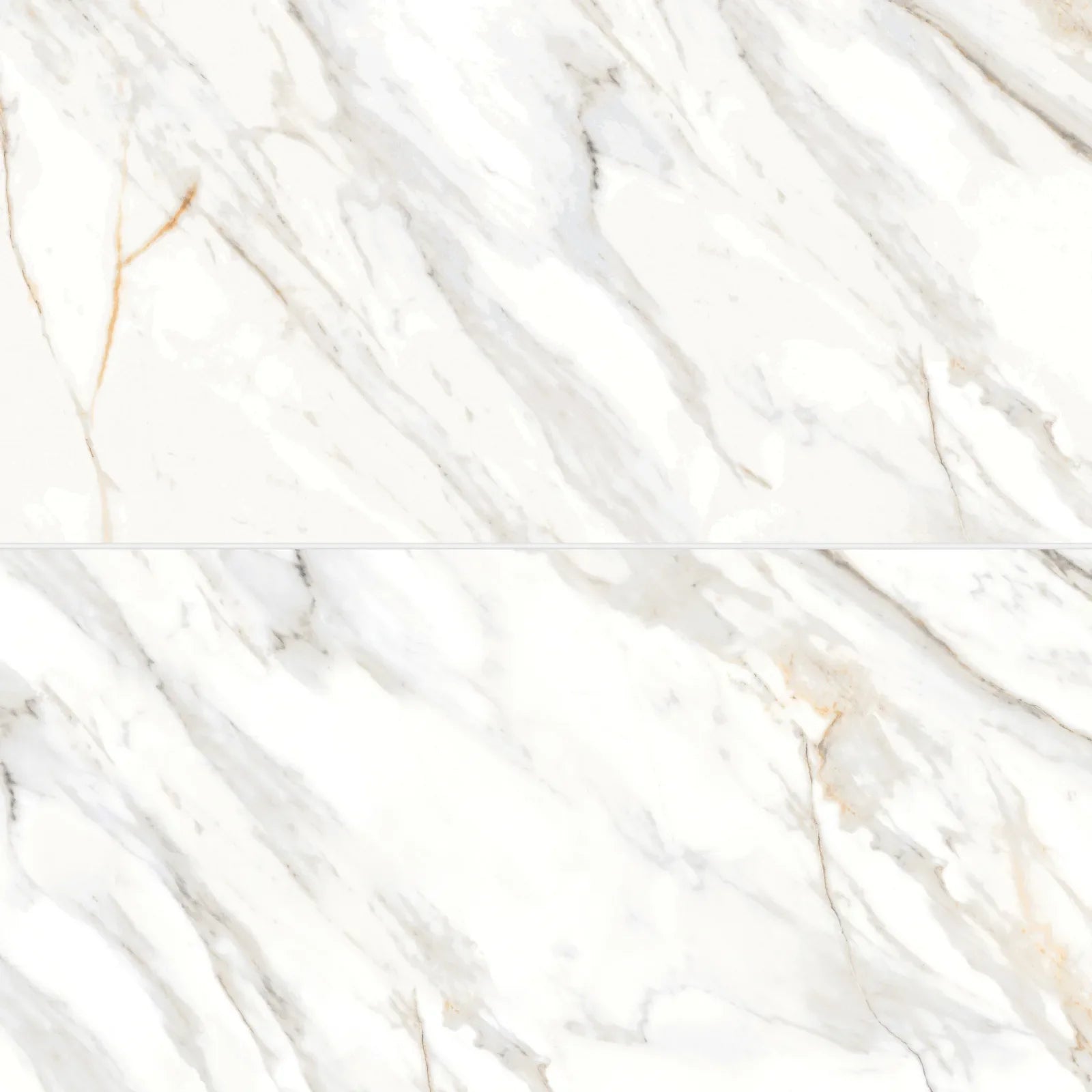 Bedrosians - Shandar 24" x 48" Matte Porcelain Field Tile - Arezzo Bianco