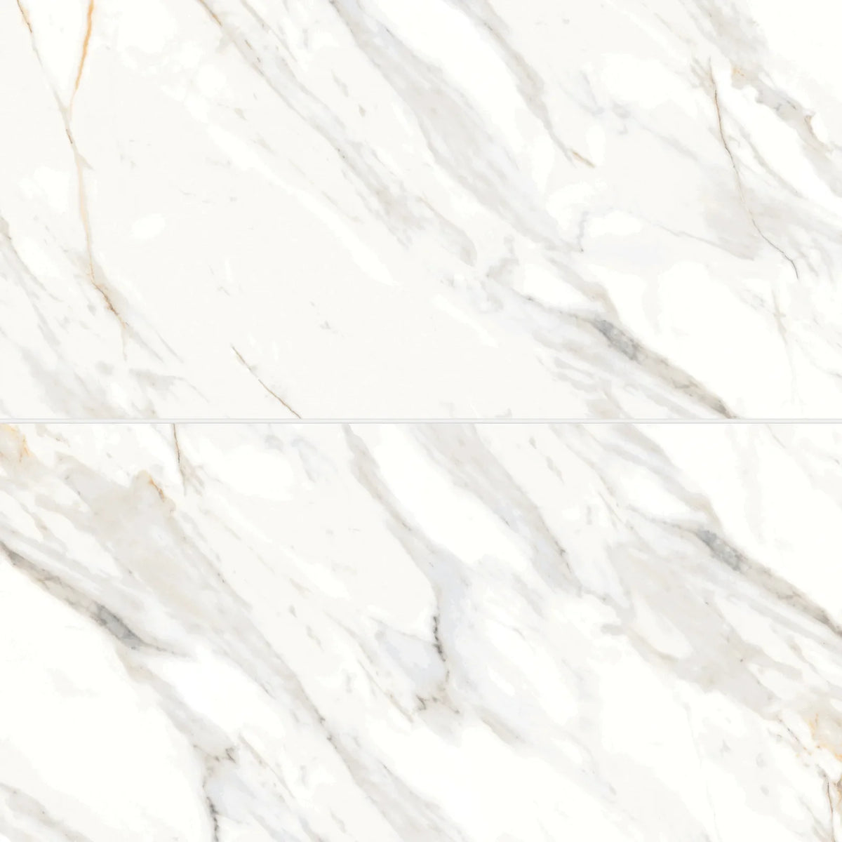 Bedrosians - Shandar 24&quot; x 48&quot; Polished Porcelain Field Tile - Arezzo Bianco