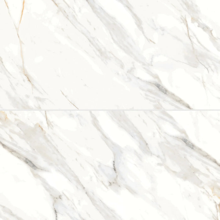 Bedrosians - Shandar 24" x 48" Polished Porcelain Field Tile - Arezzo Bianco