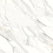 Bedrosians - Shandar 24" x 48" Polished Porcelain Field Tile - Arezzo Bianco