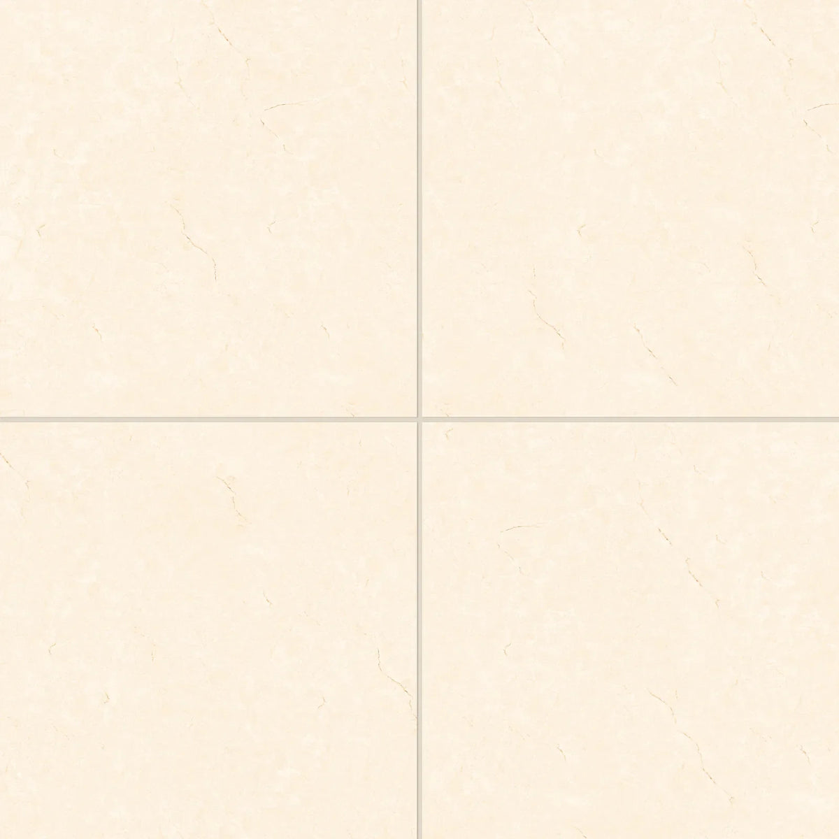 Bedrosians - Shandar 24&quot; x 24&quot; Polished Porcelain Field Tile - Crema Marfil Light