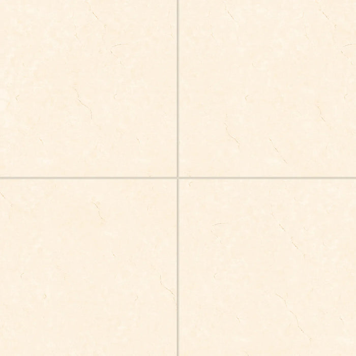 Bedrosians - Shandar 24" x 24" Polished Porcelain Field Tile - Crema Marfil Light