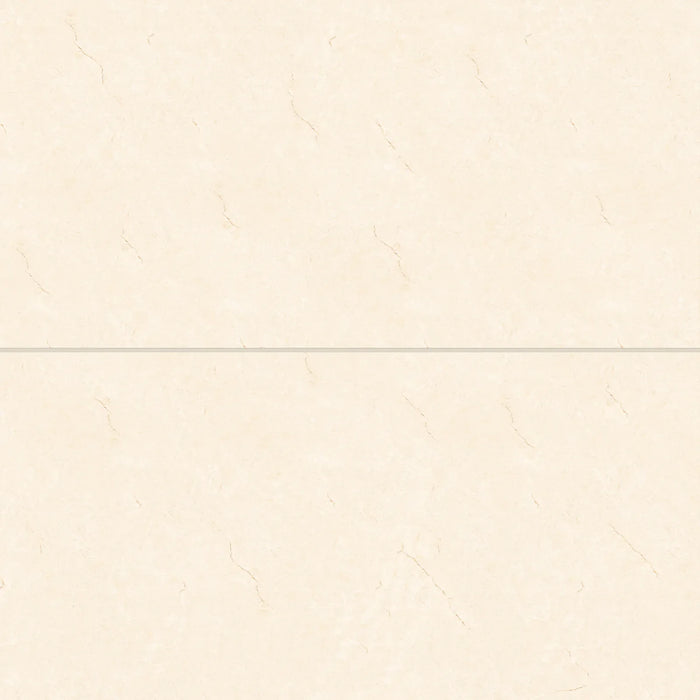 Bedrosians - Shandar 24" x 48" Polished Porcelain Field Tile - Crema Marfil