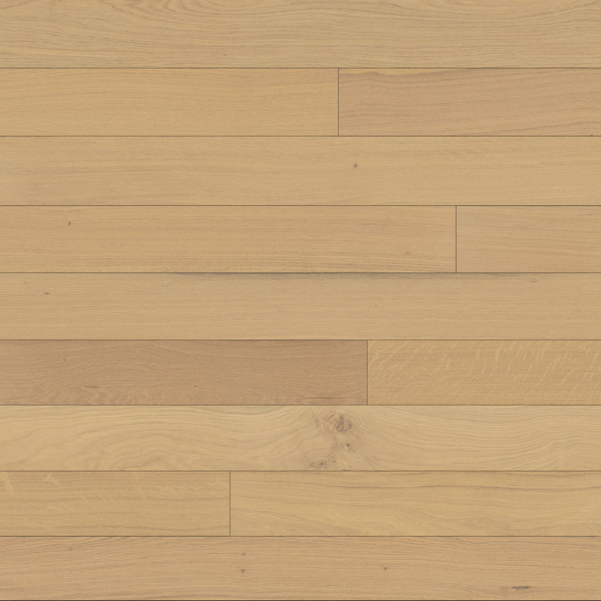 Bedrosians - Del Mar - 5 in. x 75 in. Engineered Hardwood - Harbor