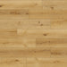 Bedrosians - Shorewood 9" x 60" Luxury Vinyl - Honey