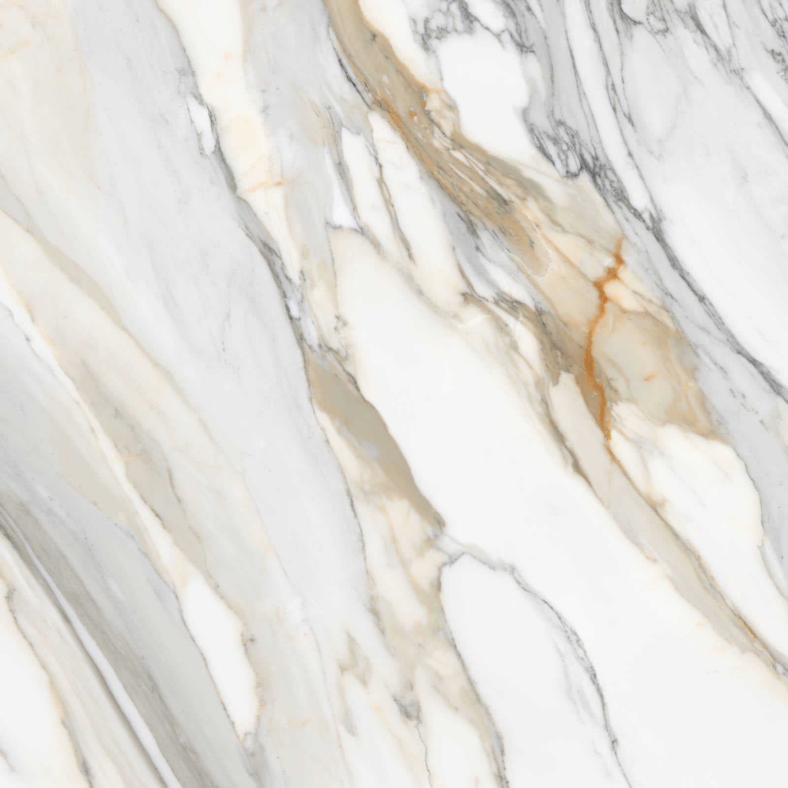Bedrosians - Magnifica The Thirties - 30" x 30" Glazed Porcelain Tile - Calacatta Macchia Vecchia Honed