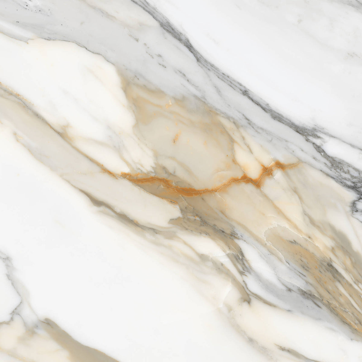 Bedrosians - Magnifica The Thirties - 30&quot; x 30&quot; Glazed Porcelain Tile - Calacatta Macchia Vecchia Polished