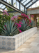 Bedrosians - Palmetto - 6 in. x 6 in. Glazed Ceramic Terracotta Tile - Luna installed