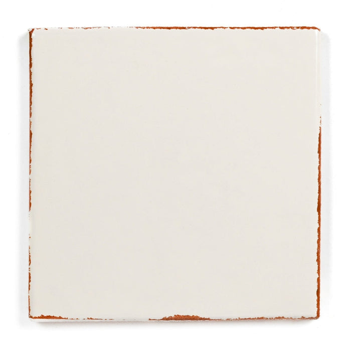 Bedrosians - Palmetto - 6 in. x 6 in. Glazed Ceramic Terracotta Tile - Cotton